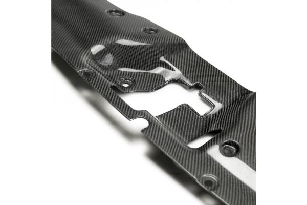 Seibon Carbon Verkleidung für Honda Civic FK8 Type-R 2017+ Cooling Plate